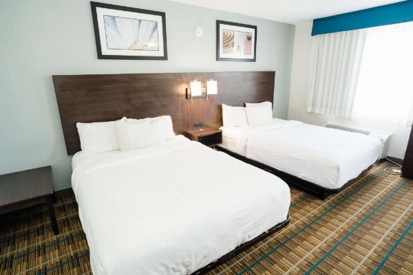 MainStay Suites Knoxville Airport image 30